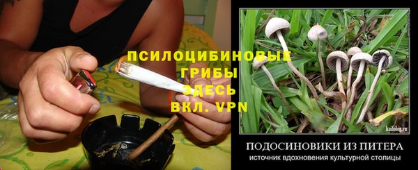 дживик Аркадак