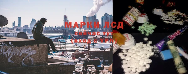 прущие грибы Арсеньев