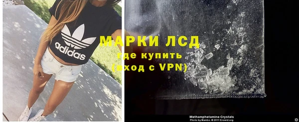прущие грибы Арсеньев