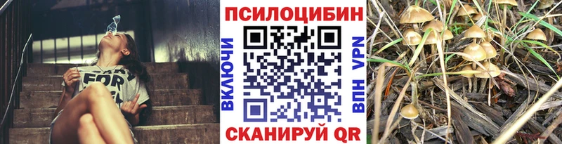 Галлюциногенные грибы Psilocybe блэк спрут онион Кувшиново магазин